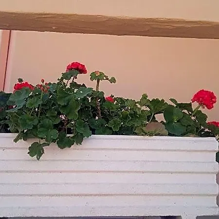 Bed & Breakfast Abruzzo Mare E Monti Chieti