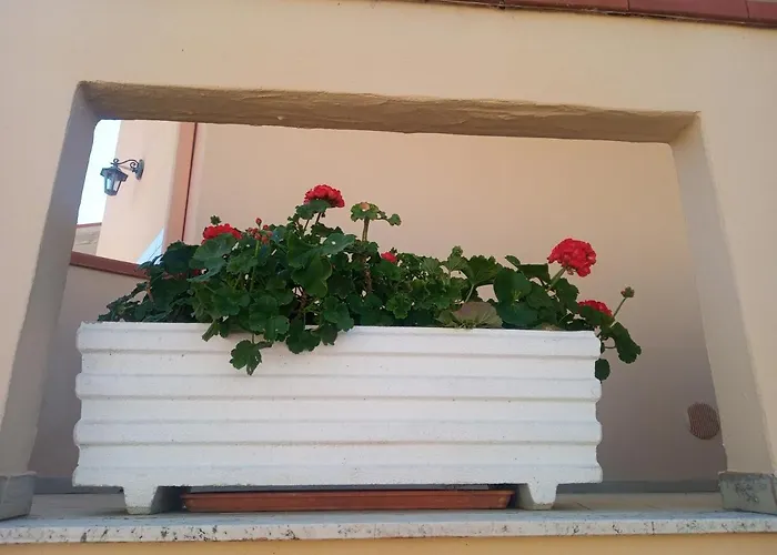 Abruzzo Mare E Monti Bed & Breakfast